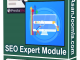 Seoexpertmodule1
