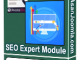 Seoexpertmodule1 T
