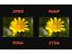 Image Webp Compress Zoom Lazy Load Alt More5