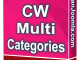 Cwmulticategories1