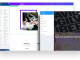 Stellar Sp Page Builder And Helix Ultimate